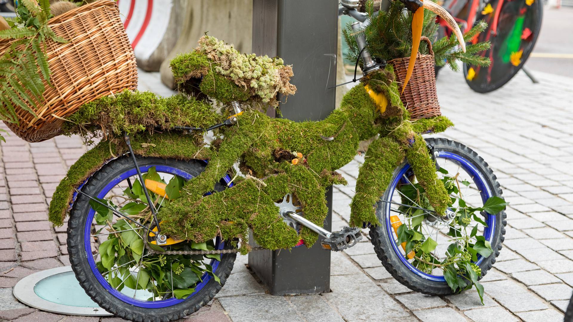 Les Folles Journées du Vélo - Fahrradanimation Epinal - Fahrradwettbewerb Epinal - Vélo Vosges 