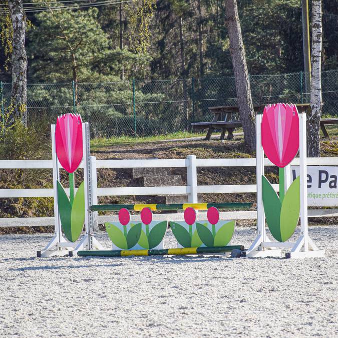 Reitzentrum Epinal - Reitunterricht Epinal - Reiten - Reiten - Reiten
