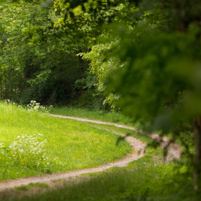 Reiten - Reiten in den Vogesen - Reiten - Landschaft